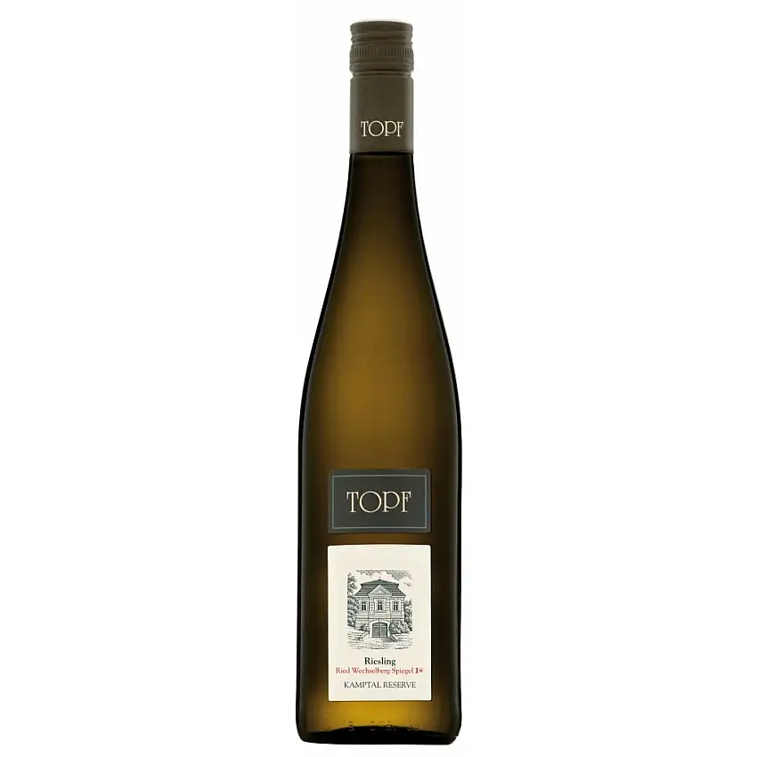 2020 Riesling Ried Wechselberg Spiegel Kamptal DAC Reserve 1ÖTW