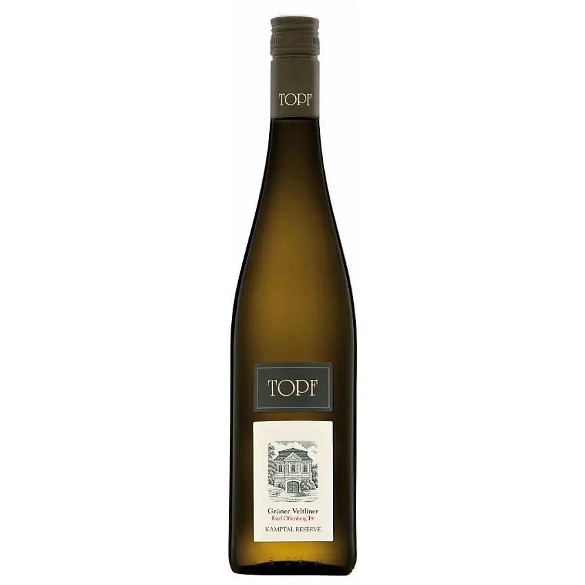 2019 Grüner Veltliner Ried Offenberg Kamptal DAC Reserve 1ÖTW