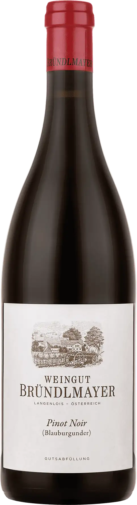 Pinot Noir Weingut Willi Bründlmayer 2021