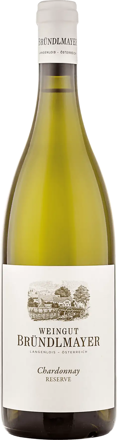 Chardonnay Ried Steinberg Weingut Willi Bründlmayer 2022 BIO