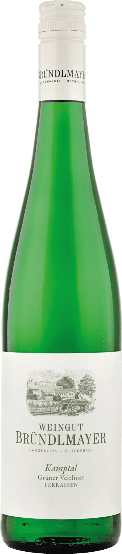 Grüner Veltliner Kamptal Terrassen Weingut Willi Bründlmayer 2024 BIO