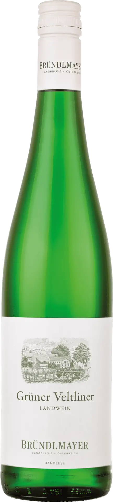Grüner Veltliner Landwein Weingut Willi Bründlmayer 2025