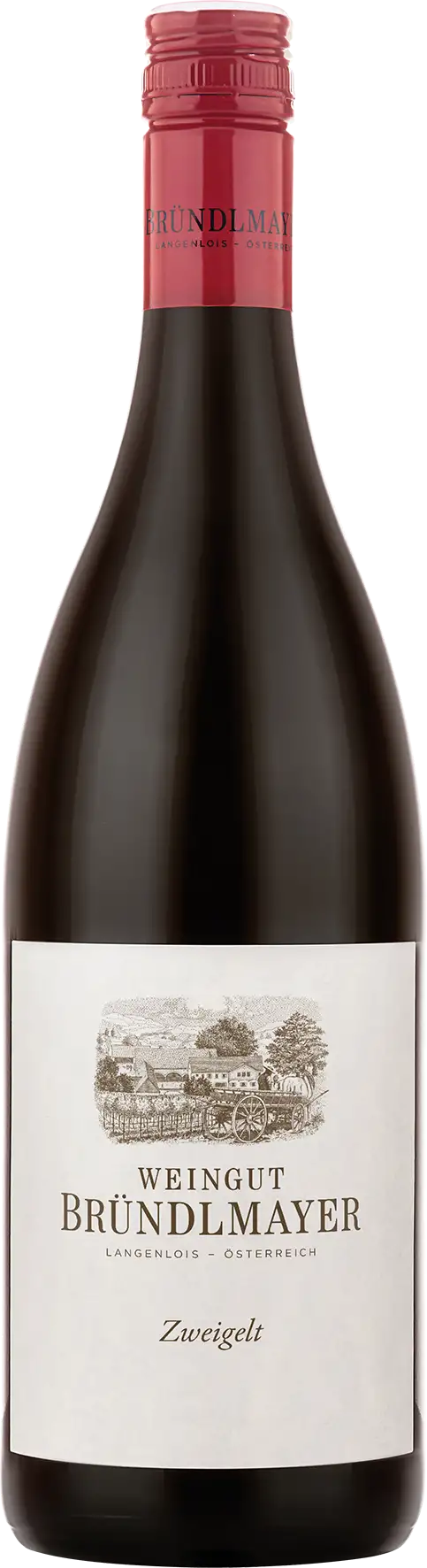 Zweigelt Bründlmayer Weingut Willi Bründlmayer 2022 BIO