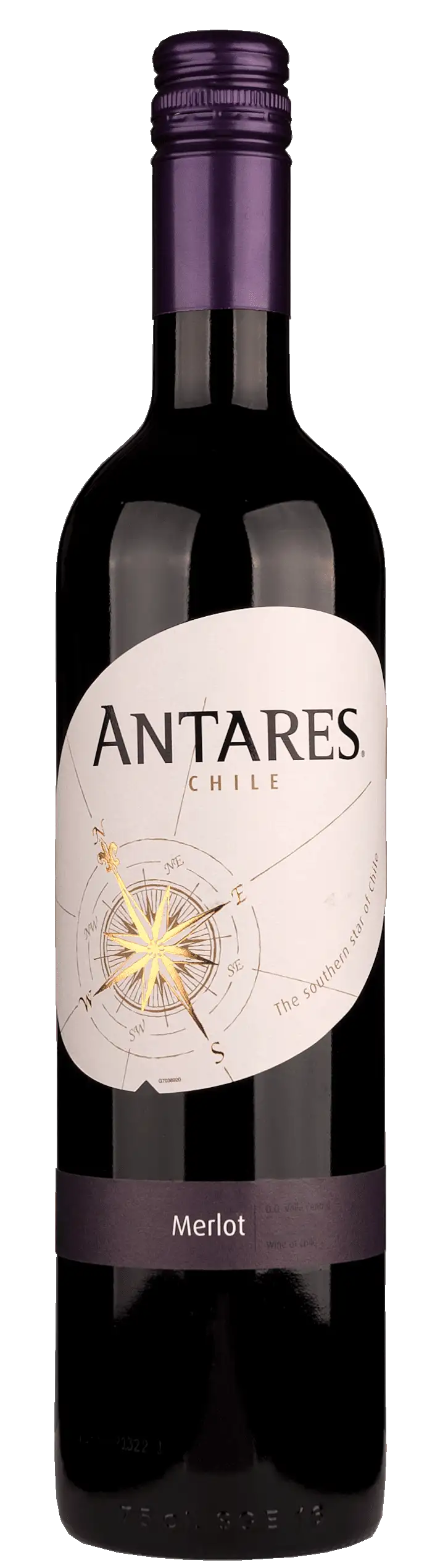 Antares Merlot Santa Carolina 2023 | 6Fl.