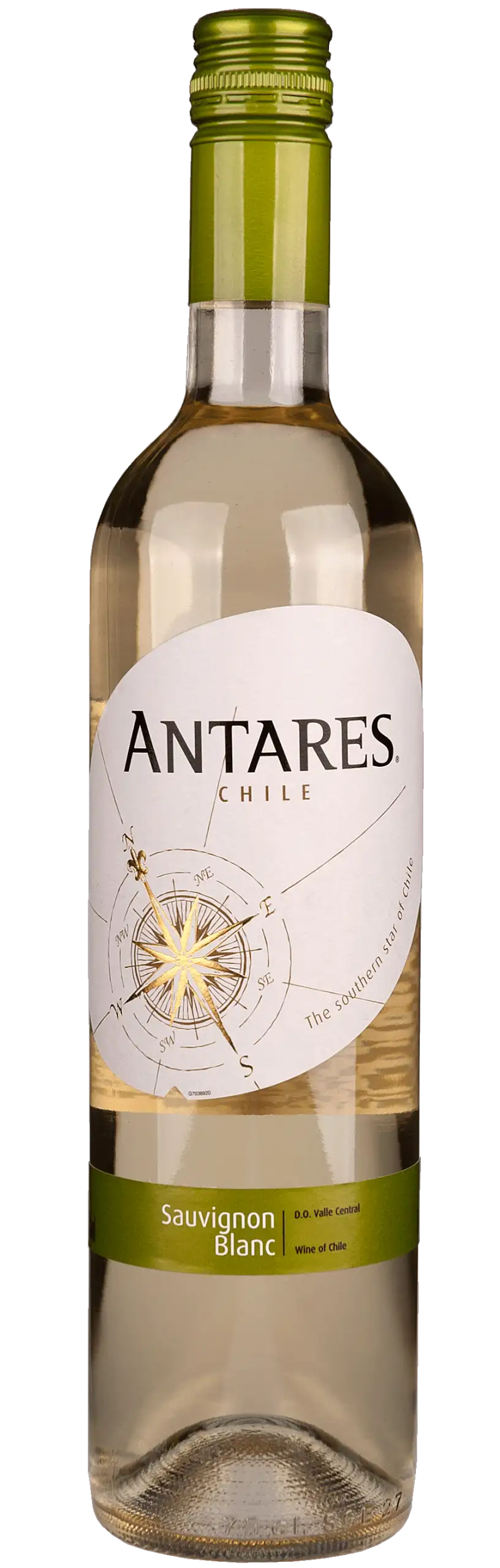 Antares Sauvignon blanc Santa Carolina 2024 | 6Fl.