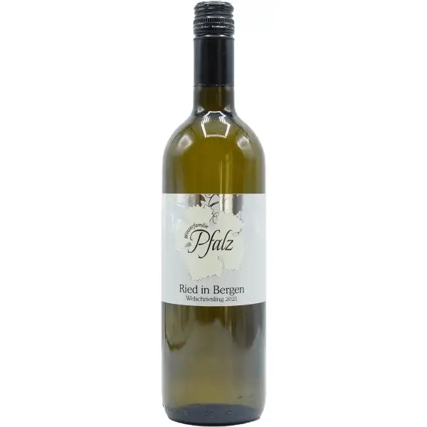 Welschriesling Ried in Bergen  2023 | Winzerfamilie Pfalz | Bei Weingrube.com bestellen