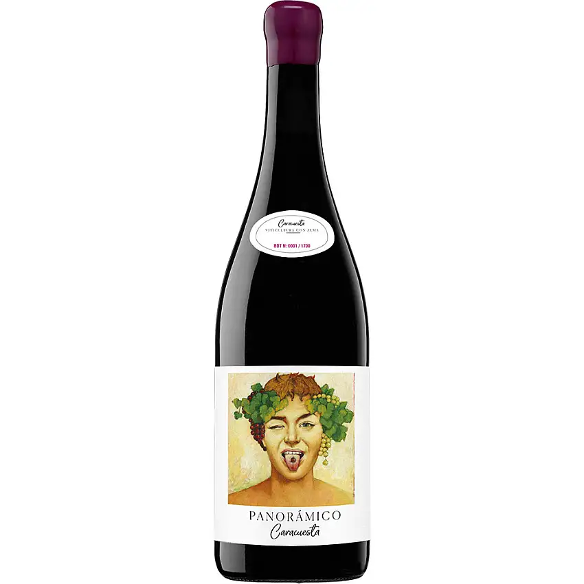 2019 Panorámico Caracuesta Rioja DOCa trocken - Vinos del Panorámico
