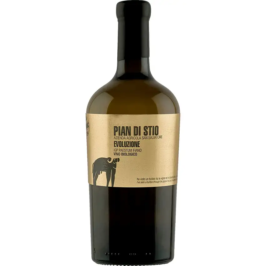 2020 San Salvatore Piani di Stio Evoluzione Fiano trocken Bio - Azienda Agricole San Salvatore