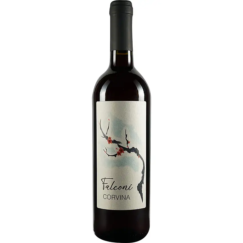 2021 Corvina Verona IGP trocken - Azienda Agricola Falconi Liviana