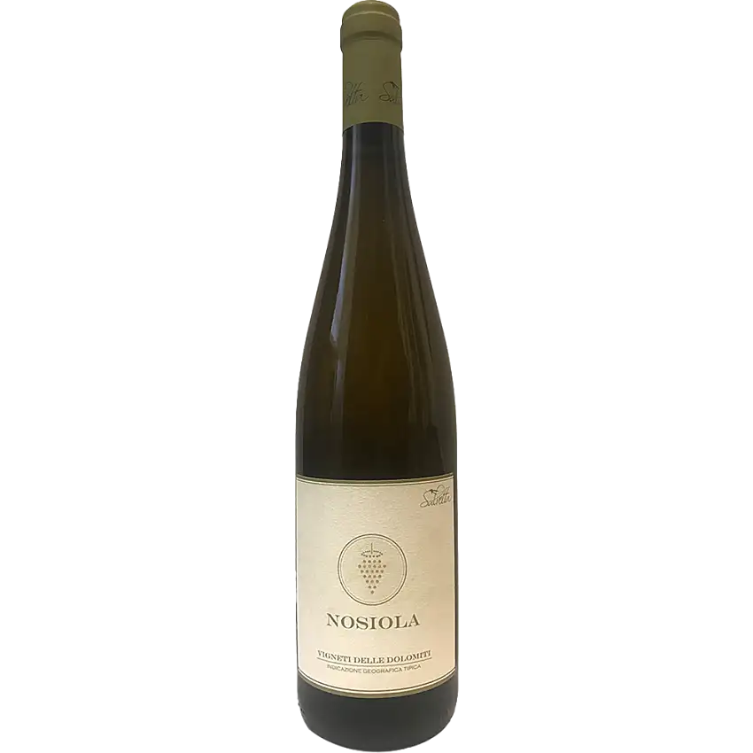 2021 Nosiola Macerato Vigneti delle Dolomiti IGP trocken Bio - Azienda Agricola Salvetta