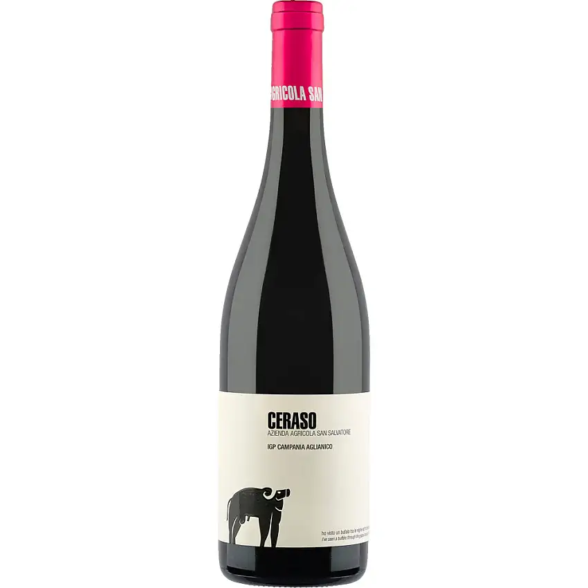 2022 San Salvatore Ceraso Aglianico trocken - Azienda Agricole San Salvatore