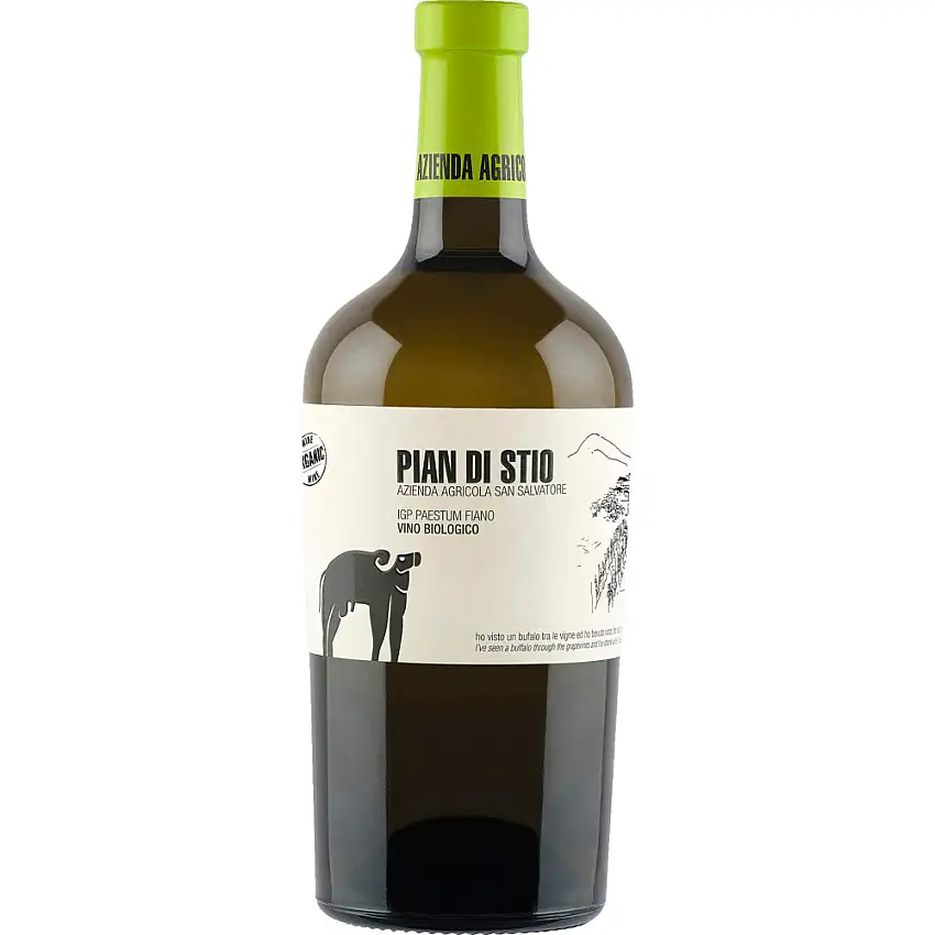 2022 San Salvatore Pian di Stio Fiano trocken Bio - Azienda Agricole San Salvatore