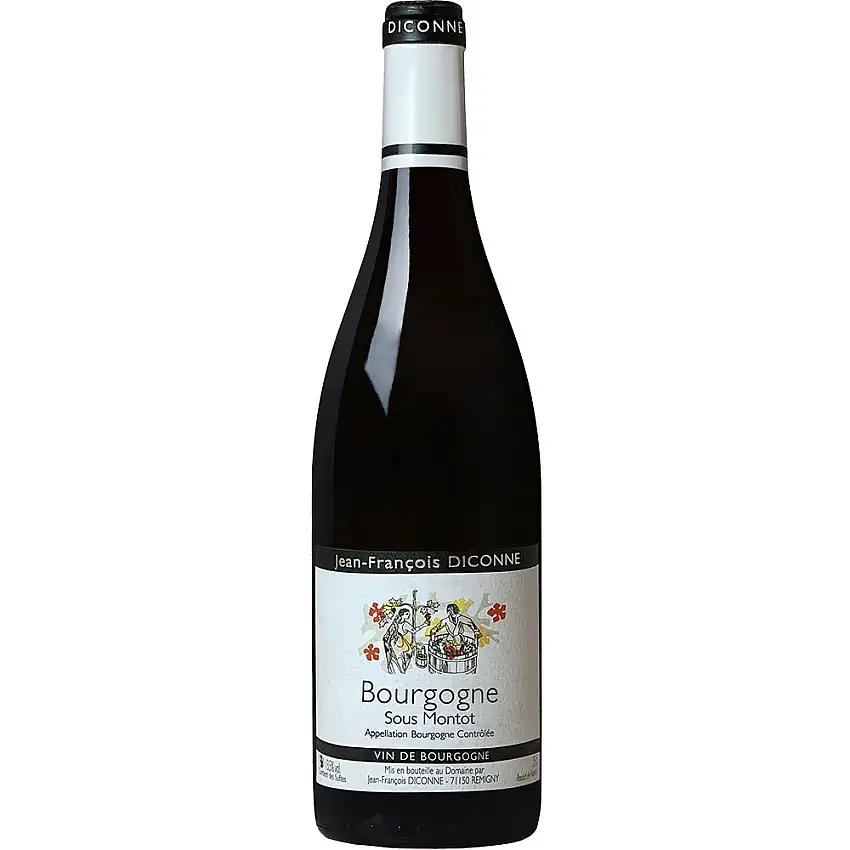 2023 "Sous Montot" Bourgogne AOP trocken - Domaine Jean-François Diconne