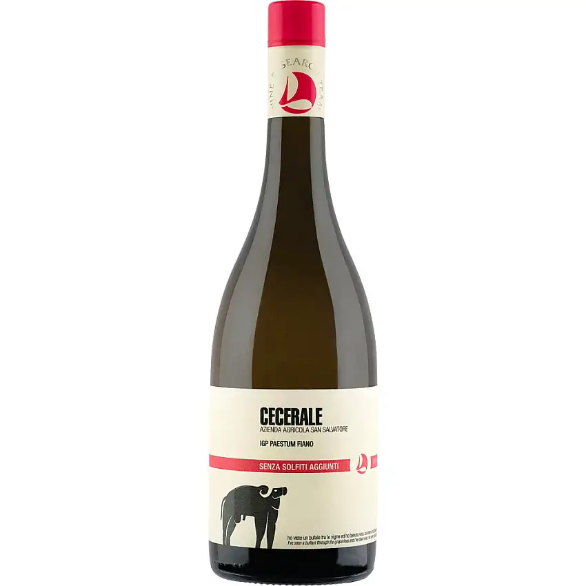 2024 San Salvatore Cecerale trocken Bio - Azienda Agricole San Salvatore