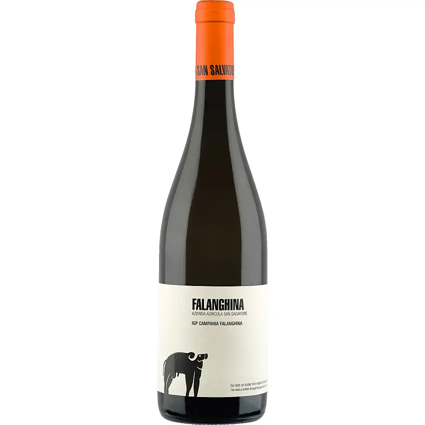 2024 San Salvatore Falanghina Bianco trocken - Azienda Agricole San Salvatore