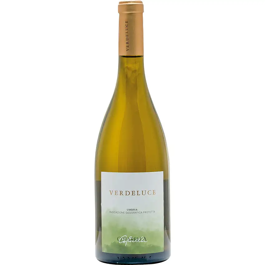 2024 Verdeluce Bianco trocken - Azienda Vinicola Falesco s.r.l.