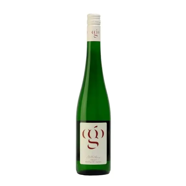 Riesling Mittelberg Vom Urgestein Kamptal DAC 2024 | Bio-Weingut gruber43 | Bei Weingrube.com bestellen