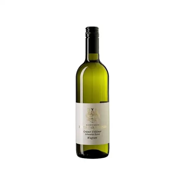 Grüner Veltliner Schwarze Katze 2024 | Bioweinbau Peter Paradeiser | Bei Weingrube.com bestellen