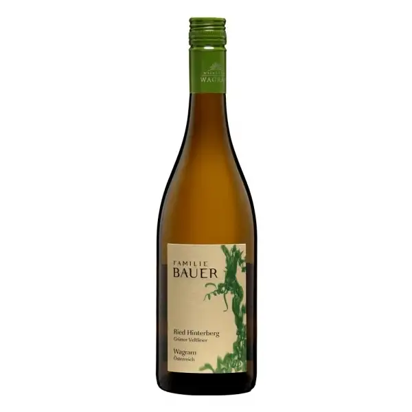 Grüner Veltliner Ried Hinterberg 2024 | Familie Bauer | Bei Weingrube.com bestellen