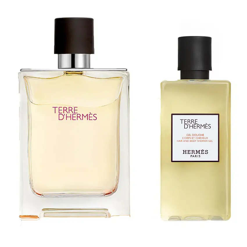 Hermes Terre d'Hermes Eau de Toilette 100ml + 80ml Duschgel