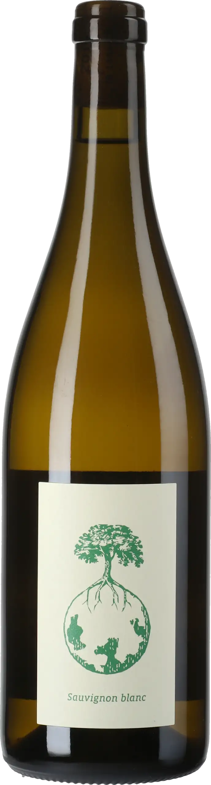 Werlitsch: Sauvignon Blanc vom Opok 2022