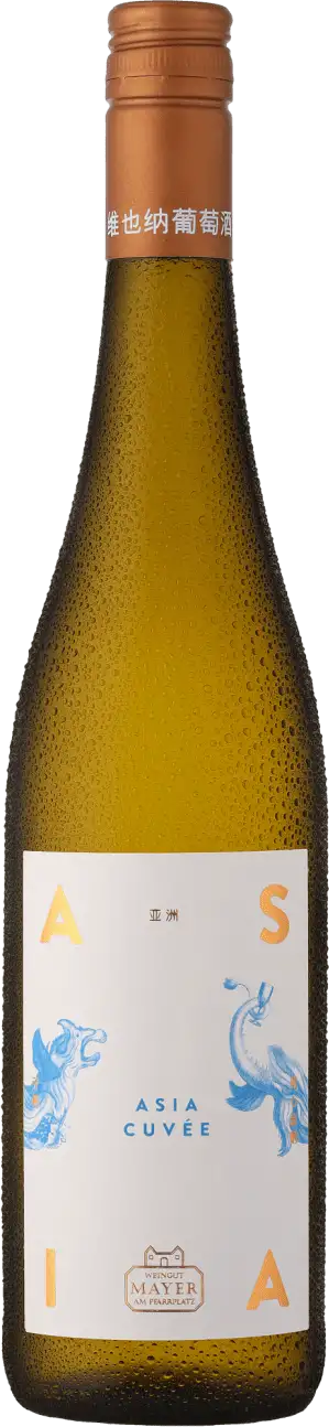 2024 Mayer am Pfarrplatz Asia Cuvée