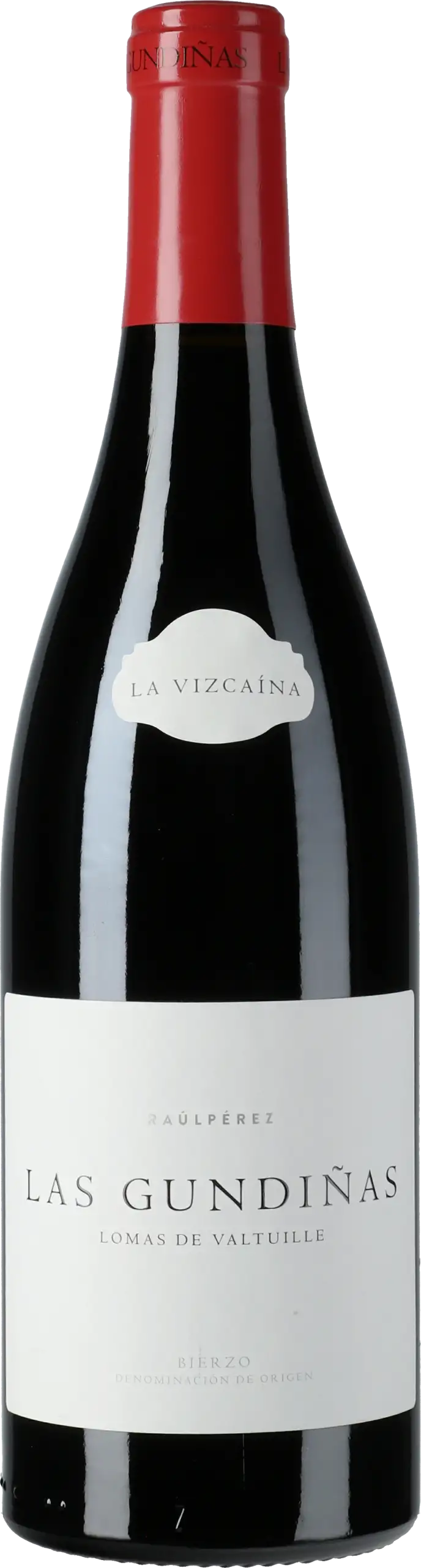 Raul Perez: La Vizcaina Las Gundinas Mencia 2022
