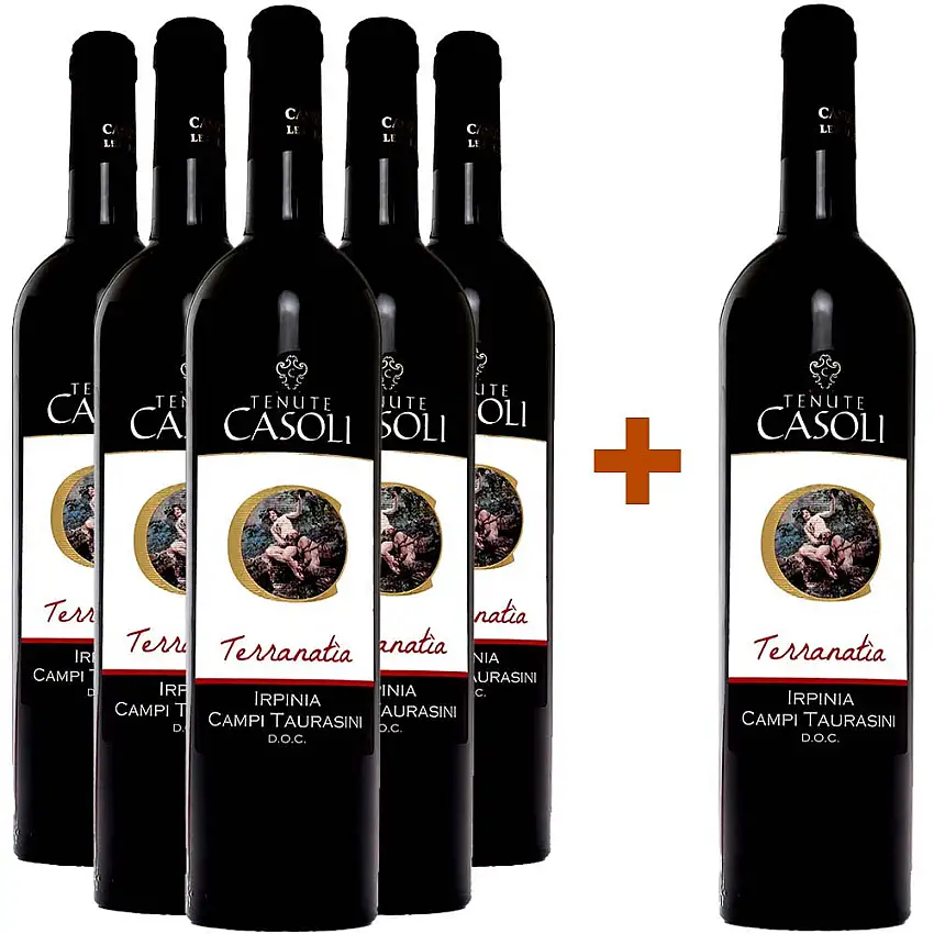 5+1 Paket Terranatia Irpinia Campi Taurasini DOC - Tenute Casoli