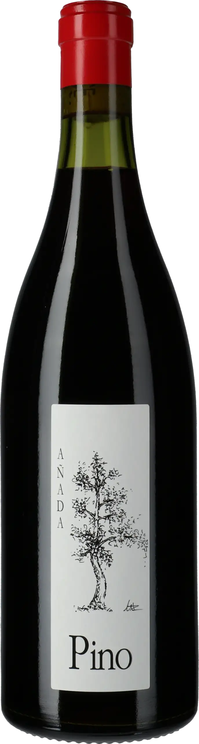 Bodegas y Vinedos Ponce: Pino 2024