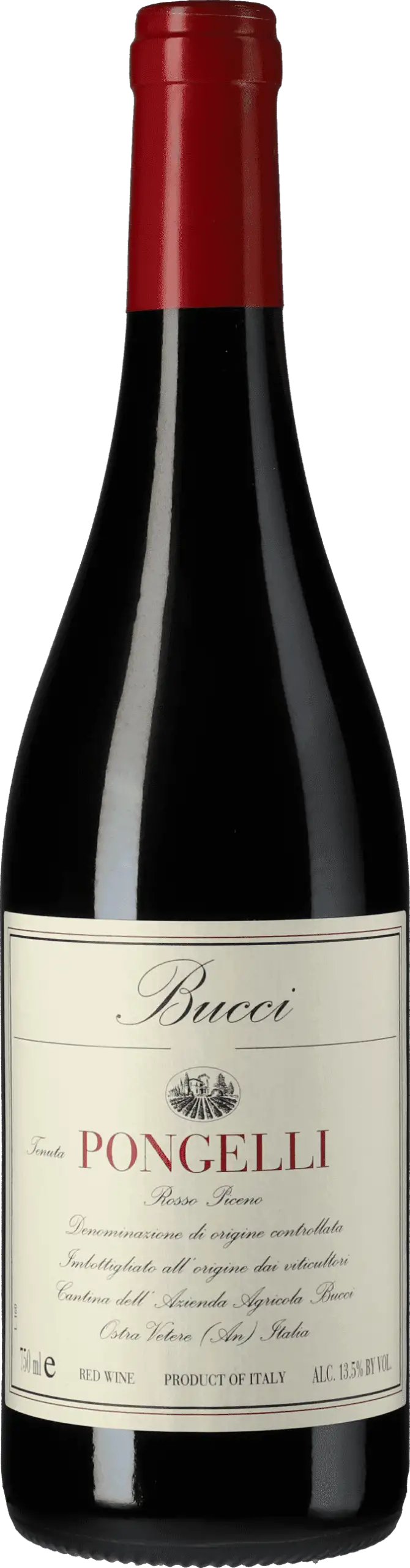 Villa Bucci: Rosso Piceno Pongelli 2023