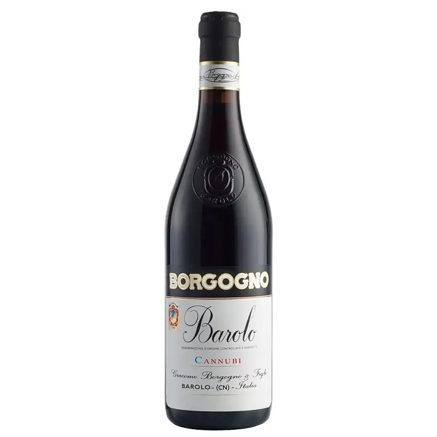 2019 Borgogno Barolo Cannubi