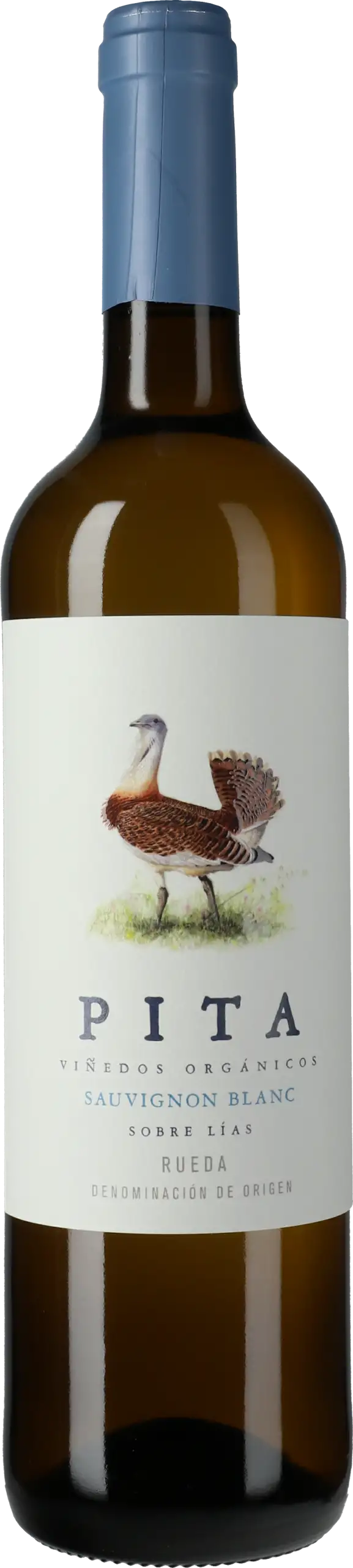 Bodegas Pita: Pita Sauvignon Blanc Sobre Lias 2024