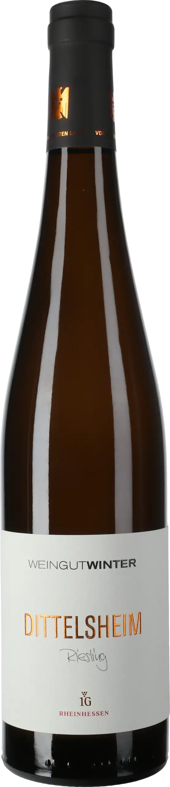 Weingut Winter: Riesling Dittelsheim 1G Aus Ersten Lagen 2022