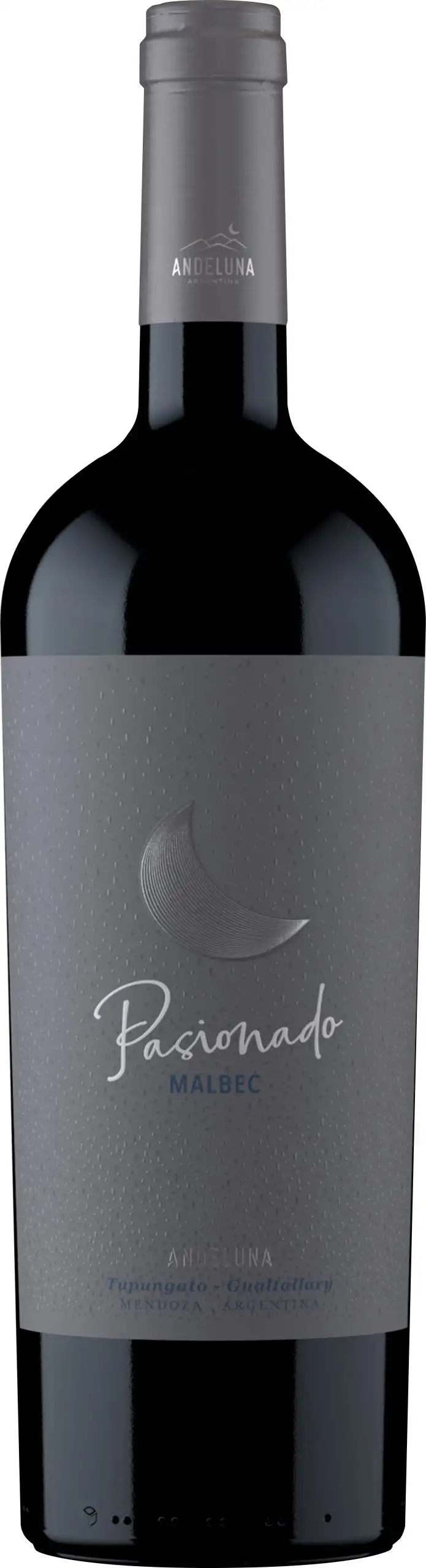 Malbec Pasionade Tupungato Mendoza Andeluna Cellars 2019