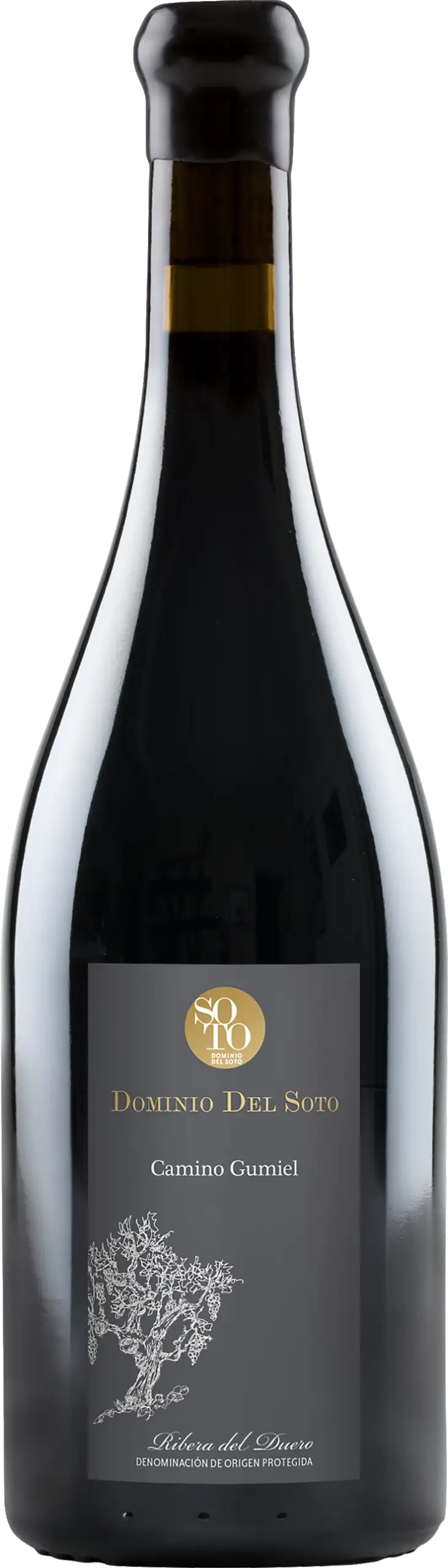 Dominio del Soto: Camino Gumiel Tempranillo 2021