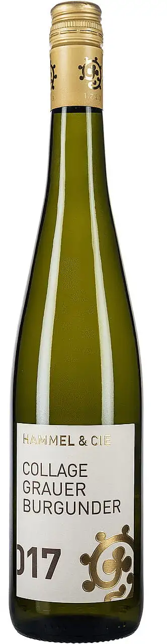 Grauburgunder Ganz in Weiss Weingut Hammel & Cie 2025