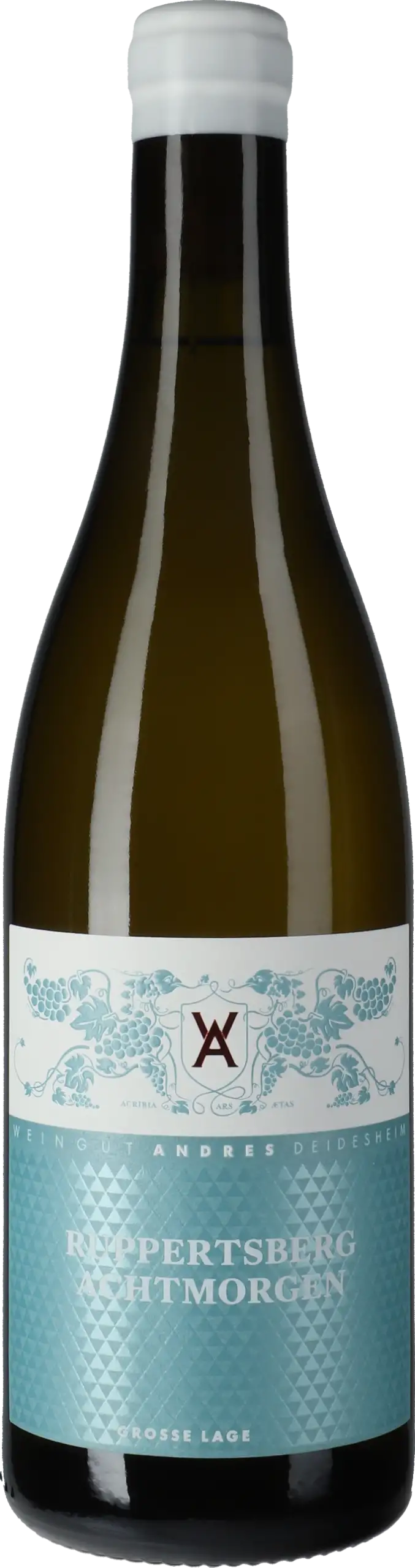 Weingut Andres: Ruppertsberg Achtmorgen Chardonnay Große Lage 2024