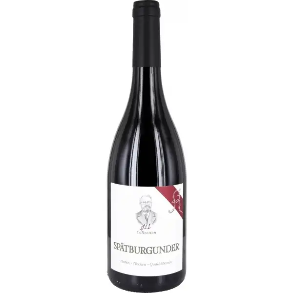 Spätburgunder trocken Collection 1912 - Premiumwein 2020 | Renner | Bei Weingrube.com bestellen