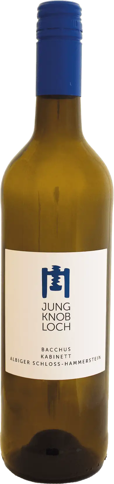 Albiger Schloß Hammerstein Bacchus Kabinett (Lieblich) Jung & Knobloch 2024