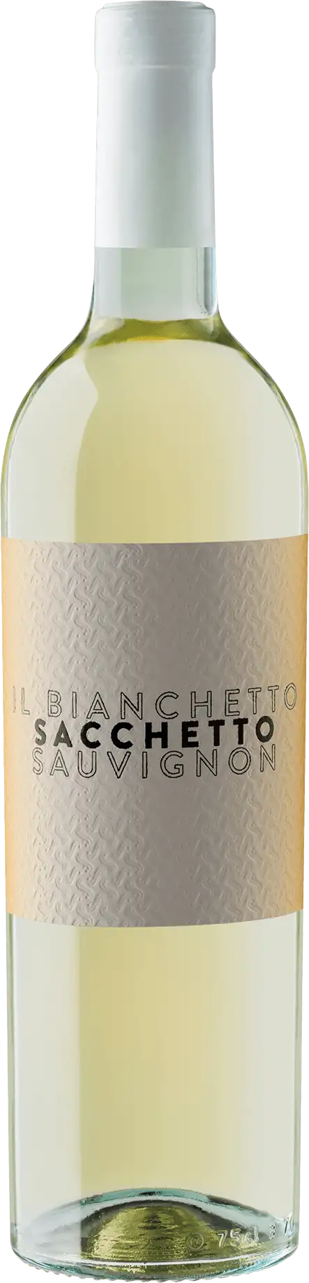 Bianchetto Sauvignon Sacchetto Sacchetto 2024