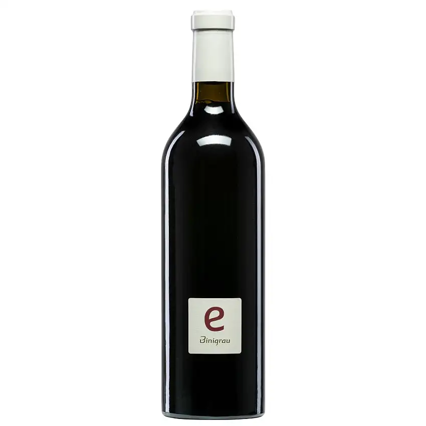 2021 Binigrau E-Negre trocken