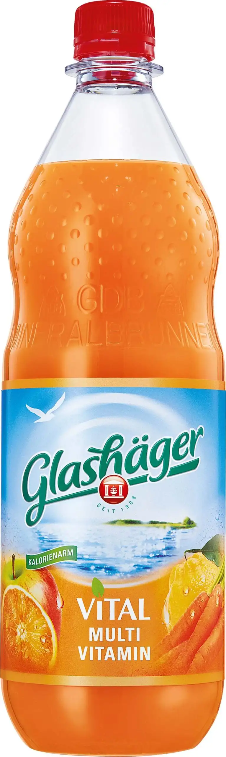 Glashäger Vital Multi-Vitamin 12 x 1l