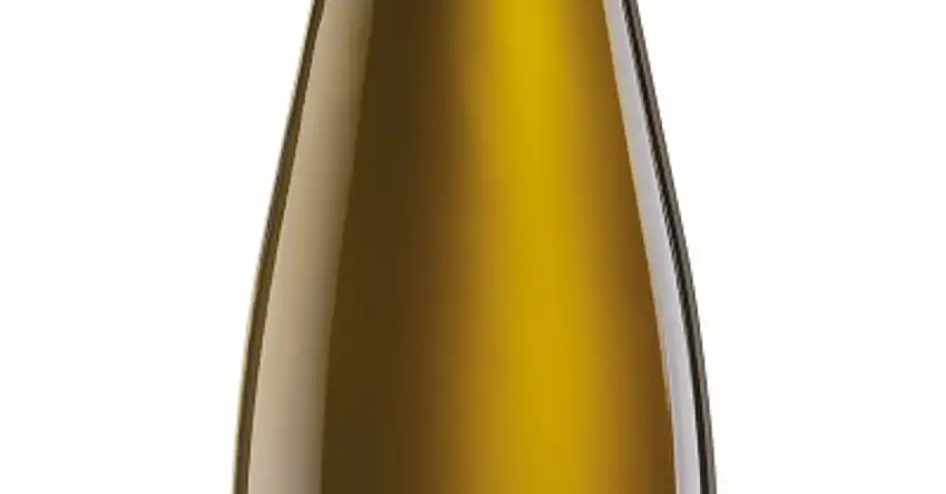 Alte Reben Mosel Riesling tr. 2022 Markus Molitor