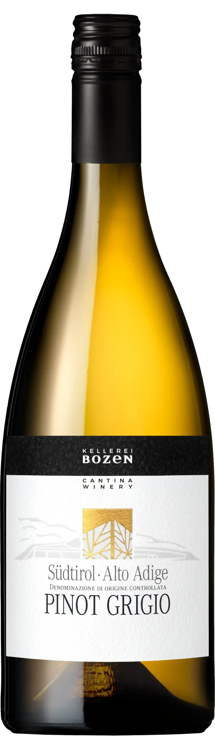 Pinot Grigio Südtirol Alto Adige DOC 0,75l 13,5% - 2024 | Kellerei Bozen