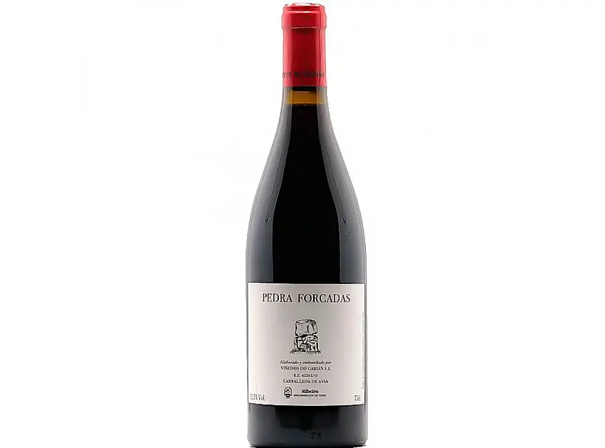 Viñedos Gabian Pedra Forcadas 2022