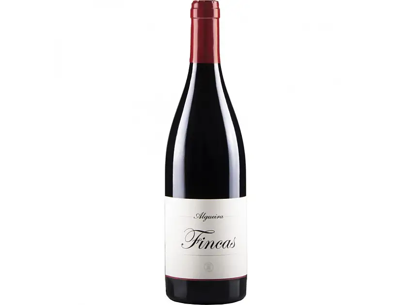 Algueira Fincas 2017