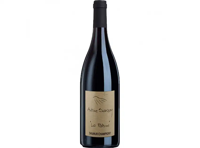 Antoine Sanzay Saumur-Champigny La Paterne 2021