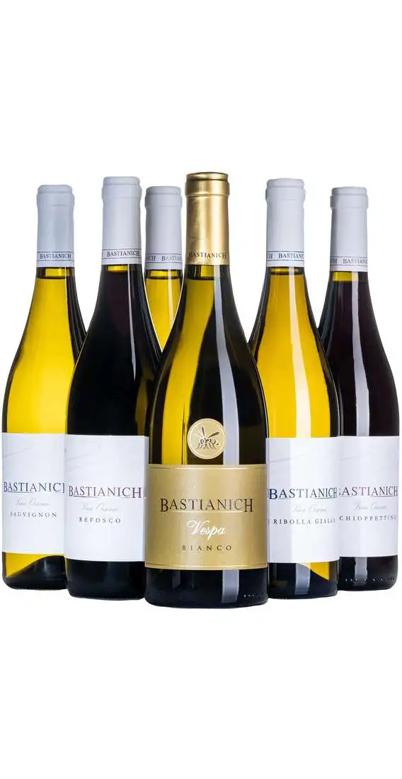 Auswahl von 6 friaulischen Weinen Bastianich