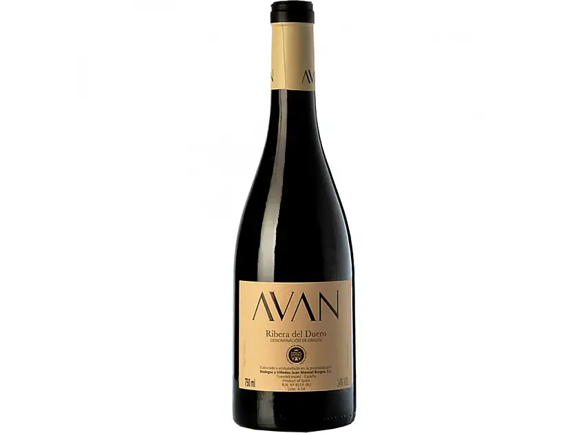 Avan Tinto 2023