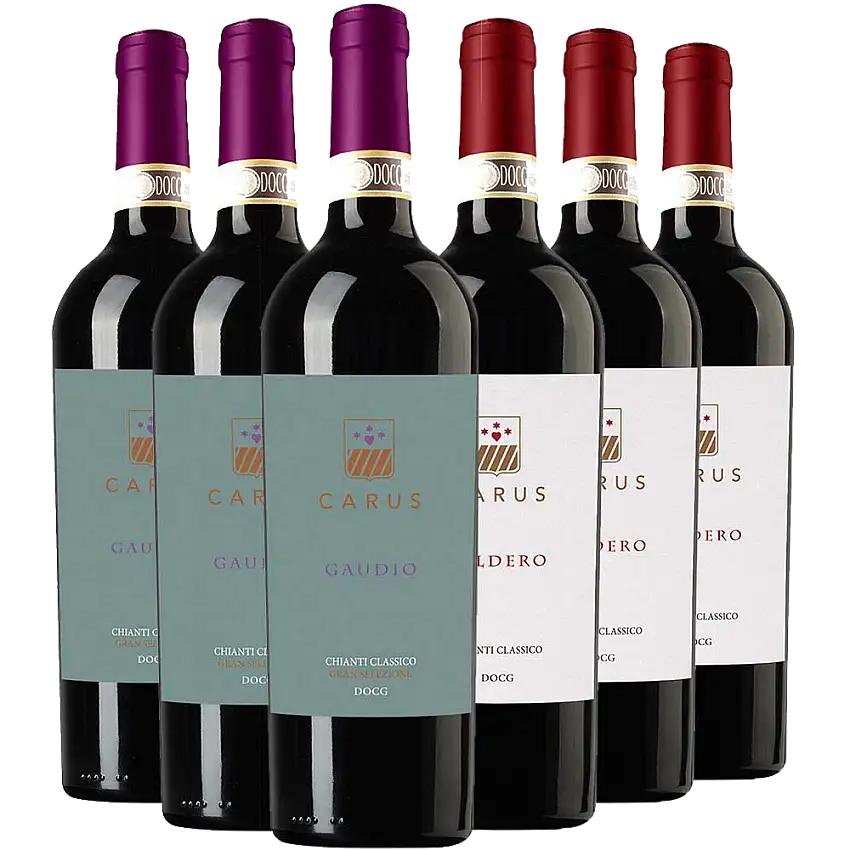 Carus Chianti Classico DOCG Kennenlern-Paket - Carus
